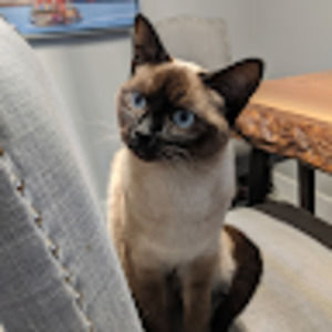 Meet your Posher, Catherine